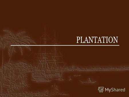 PLANTATION ИСТОРИЯ РОМА Сахарный тростник, «волшебное растение» был впервые выращен в Азии 10 000 лет назад Конец 15 века: сахарный тростник появился на.