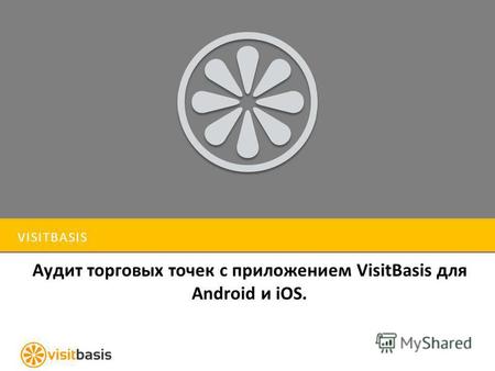 VISITBASIS Аудит торговых точек с приложением VisitBasis для Android и iOS.