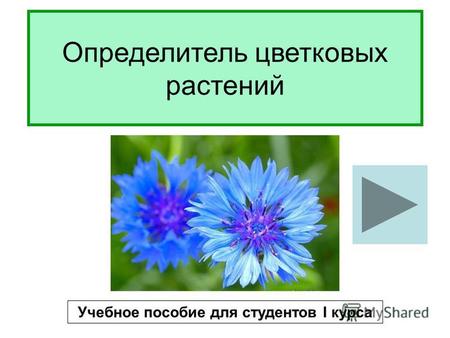 Определитель цветковых растений Учебное пособие для студентов I курса.