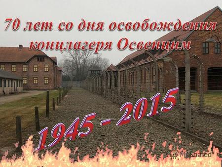 27 января по всему миру люди вспоминают об одном из самых жутких мест на земле концентрационном лагере в Освенциме Освенцим город, ставший символом беспощадности.