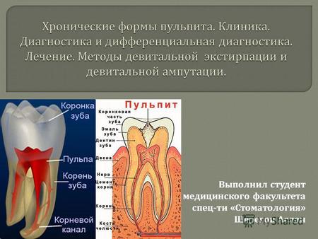 Выполнил студент медицинского факультета спец - ти « Стоматология » Шерегов Аслан.
