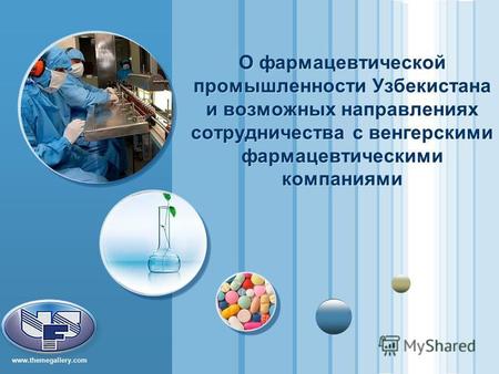 Www.themegallery.com LOGO О фармацевтической промышленности Узбекистана и возможных направлениях сотрудничества с венгерскими фармацевтическими компаниями.