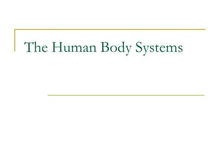 The Human Body Systems. The human body is like a complex organization that has an important job to get done. In order to get everything done perfectly.