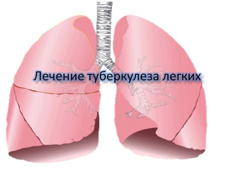 В 2007 году в России отмечено больных впервые выявленным туберкулёзом в активной форме (82,6 на 100 тыс. населения), что на 0,2 % выше, чем в.