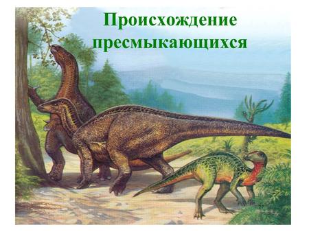 Происхождение пресмыкающихся. Что мы узнаем на уроке 1. Причины появления и вымирания динозавров 2. Особенности жизнедеятельности пресмыкающихся 3. Место.