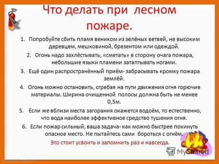 FokinaLida.75@mail.ru Что делать при лесном пожаре. 1.Попробуйте сбить пламя веником из зелёных ветвей, не высоким деревцем, мешковиной, брезентом или.