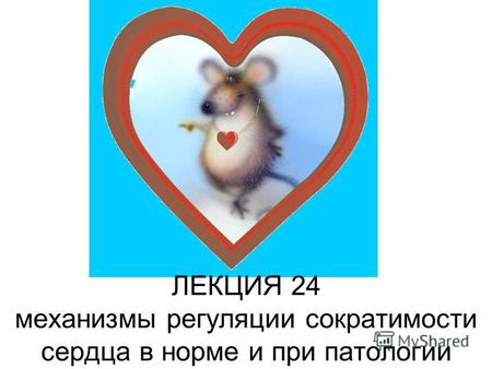 ЛЕКЦИЯ 24 механизмы регуляции сократимости сердца в норме и при патологии.
