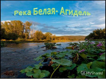 Река Белая – это одна из самых важных и почитаемых природных ценностей для башкирского народа. На реке Белой построены крупнейшие города Республики Башкортостан,