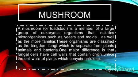 MUSHROOM A mushroom (or toadstool) is a member of a large group of eukaryotic organisms that includes microorganisms such as yeasts and molds, as well.
