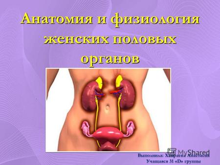 Анатомия и физиология женских половых органов.. Женские половые органы наружные (доступные визуальному осмотру) наружные (доступные визуальному осмотру)
