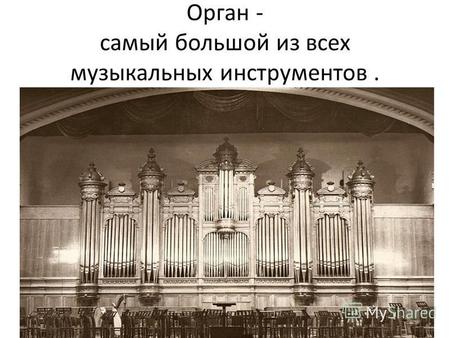 Орган - самый большой из всех музыкальных инструментов.