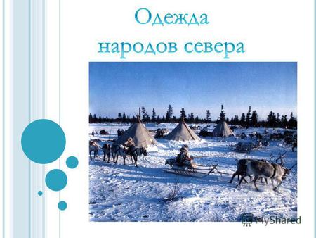 Коренные малочисленные народы, проживающие на севере Западной Сибири. Ханты и манси традиционно занимаются охотой, рыболовством и оленеводством. Суровость.