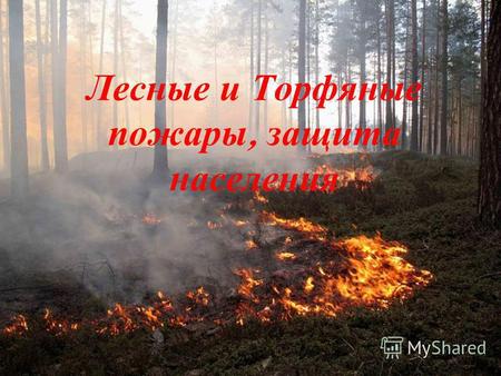 Лесные и Т орфяные пожары, з ащита населения. Основной причиной лесных пожаров является безответственное поведение людей, которые не проявляют в лесу.