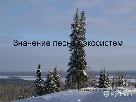 Значение лесных экосистем Составитель Большаков С. В.