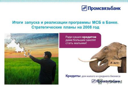 Итоги запуска и реализации программы МСБ в Банке. Стратегические планы на 2008 год.
