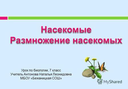 Урок по биологии, 7 класс Учитель Антонова Наталья Леонидовна МБОУ «Бежаницкая СОШ»