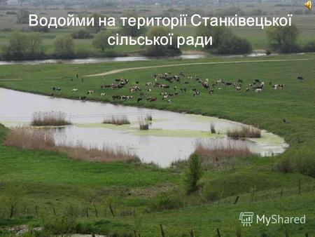 Водойми на території Станківецької сільської ради.