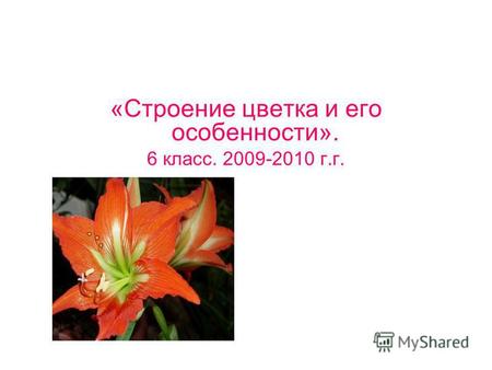 «Строение цветка и его особенности». 6 класс. 2009-2010 г.г.
