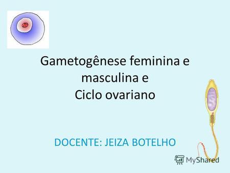 Gametogênese feminina e masculina e Ciclo ovariano DOCENTE: JEIZA BOTELHO.