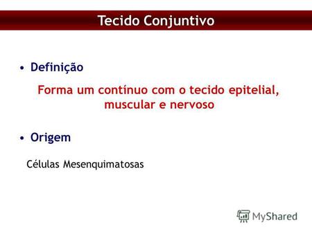 Tecido Conjuntivo Definição Células Mesenquimatosas Forma um contínuo com o tecido epitelial, muscular e nervoso Origem.