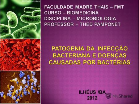 Patogenia bacteriana: Mecanismo pelo qual a bactéria causa uma lesão; Bactéria patogênica: capaz de causar doença Bactérias tem fatores de virulência.