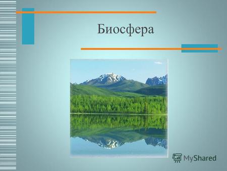 Биосфера План урока Историческая справка Структура биосферы a)границы биосферы b)косное вещество c)живое вещество Круговорот веществ в природе Влияние.
