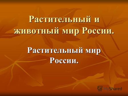 Растительный и животный мир России. Растительный мир России.
