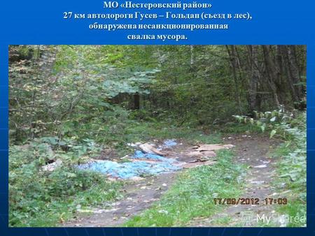 МО «Нестеровский район» 27 км автодороги Гусев – Гольдап (съезд в лес), обнаружена несанкционированная свалка мусора.