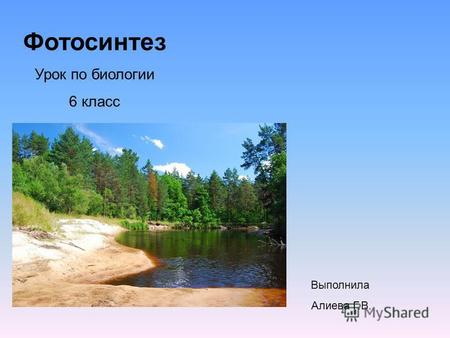 Фотосинтез Урок по биологии 6 класс Выполнила Алиева Г.В.