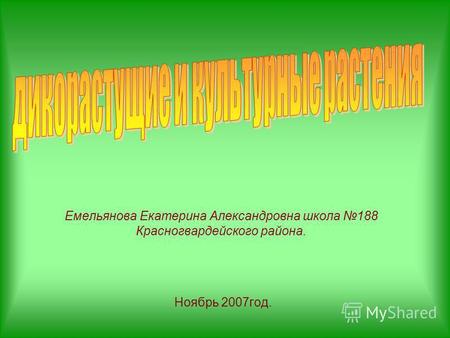 Емельянова Екатерина Александровна школа 188 Красногвардейского района. Ноябрь 2007 год.