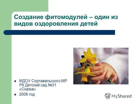 Создание фитомодулей – один из видов оздоровления детей МДОУ Сортавальского МР РК Детский сад 31 «Сказка» 2008 год.