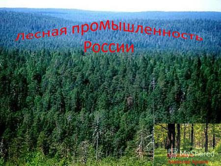 Выполнила: Аванесян Аракся. На долю России приходится 22% мировых лесных ресурсов – 770 млн. га – 45% всей территории страны. Запасы древесины – 82 млрд.