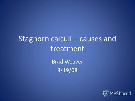 Staghorn calculi – causes and treatment Brad Weaver 8/19/08.