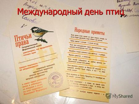 Международный день птиц. 1 апреля – отмечается международный день птиц. Точной информации о том, когда и почему зародился этот праздник, не существует.