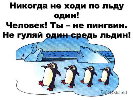 Никогда не ходи по льду один! Человек! Ты – не пингвин. Не гуляй один средь льдин!