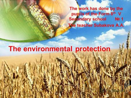 The environmental protection The work has done by the pupils of the Form 8 th V Secondary school 1 The teacher Subakova A.A.