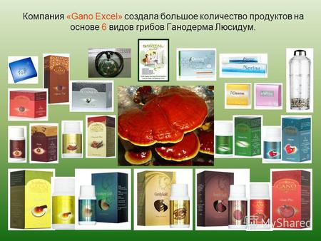 Компания «Gano Excel» создала большое количество продуктов на основе 6 видов грибов Ганодерма Люсидум.