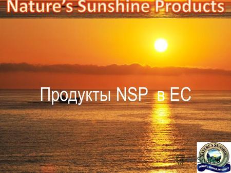 Продукты NSP в ЕС. Общая характеристика продуктов. «Минералы»!