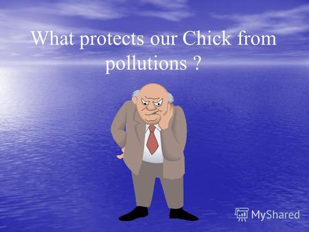 What protects our Chiсk from pollutions ?. People!!! Keep these rules and you will live in purity.