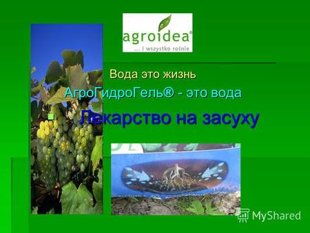 Вода это жизнь АгроГидроГель ® - это вода Лекарство на засуху Лекарство на засуху.