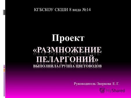 Проект КГБСКОУ СКШИ 8 вида 14 Руководитель: Зверкова Е. Г.