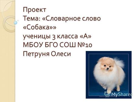 Проект Тема : « Словарное слово « Собака »» ученицы 3 класса « А » МБОУ БГО СОШ 10 Петруня Олеси.