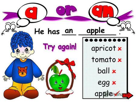 He has . anapple apricot tomato ball egg. She has . anegg apple apricot tomato ball egg.