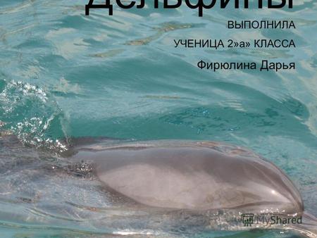 Дельфины ВЫПОЛНИЛА УЧЕНИЦА 2»а» КЛАССА Фирюлина Дарья.