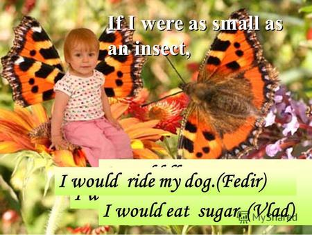 If I were as small as an insect, I would ride my cat. (Valya) I would fly on my parrot. I would eat sugar. (Vlad) I would ride my dog.(Fedir)