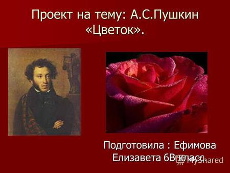 Проект на тему: А.С.Пушкин «Цветок». Подготовила : Ефимова Елизавета 6 В класс.