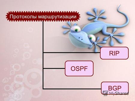 Протоколы маршрутизации RIP OSPF BGP. Внутренний протокол маршрутизации RIP Этот протокол маршрутизации предназначен для сравнительно небольших и относительно.