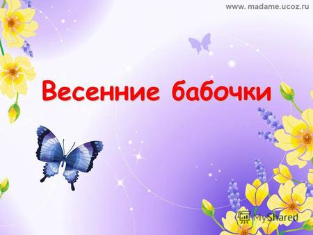 Весенние бабочки www. madame.ucoz.ru. Отгадай загадку Дотронуться хотела я руками До самого красивого цветка. А он, взмахнув своими лепестками, Вспорхнул.