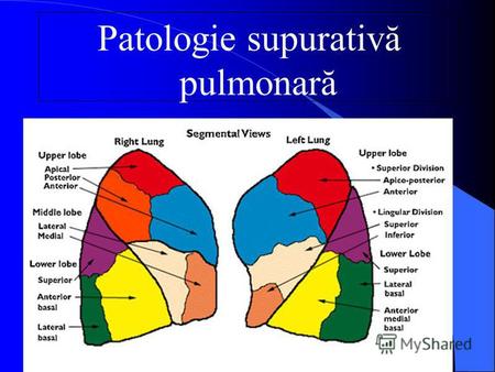 Patologie supurativă pulmonară. 1 segment apical 2 segment posterior 3 segment anterior 3x segment axilar 4 segment postero-extern 5 segment antero-intren.