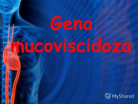 Gena mucoviscidoza. Gena este situata pe bratul lung al cromozomului 7 la poziţia q31.2 de la perechi de bază. este o gena mare, in determinismul bolii.